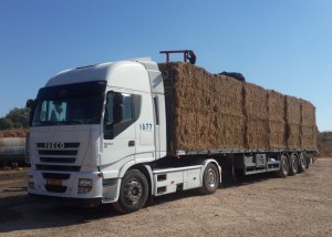 ניהול פרוייקטים ותכן הנדסי