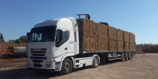 ניהול פרוייקטים ותכן הנדסי