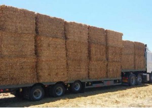 ניהול פרוייקטים ותכן הנדסי