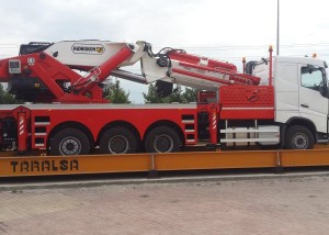 שירותי ייבוא